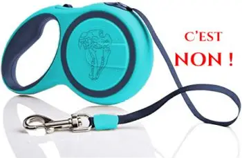 La laisse à enrouleur, c'est non !