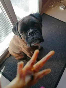 Une petite douceur ?