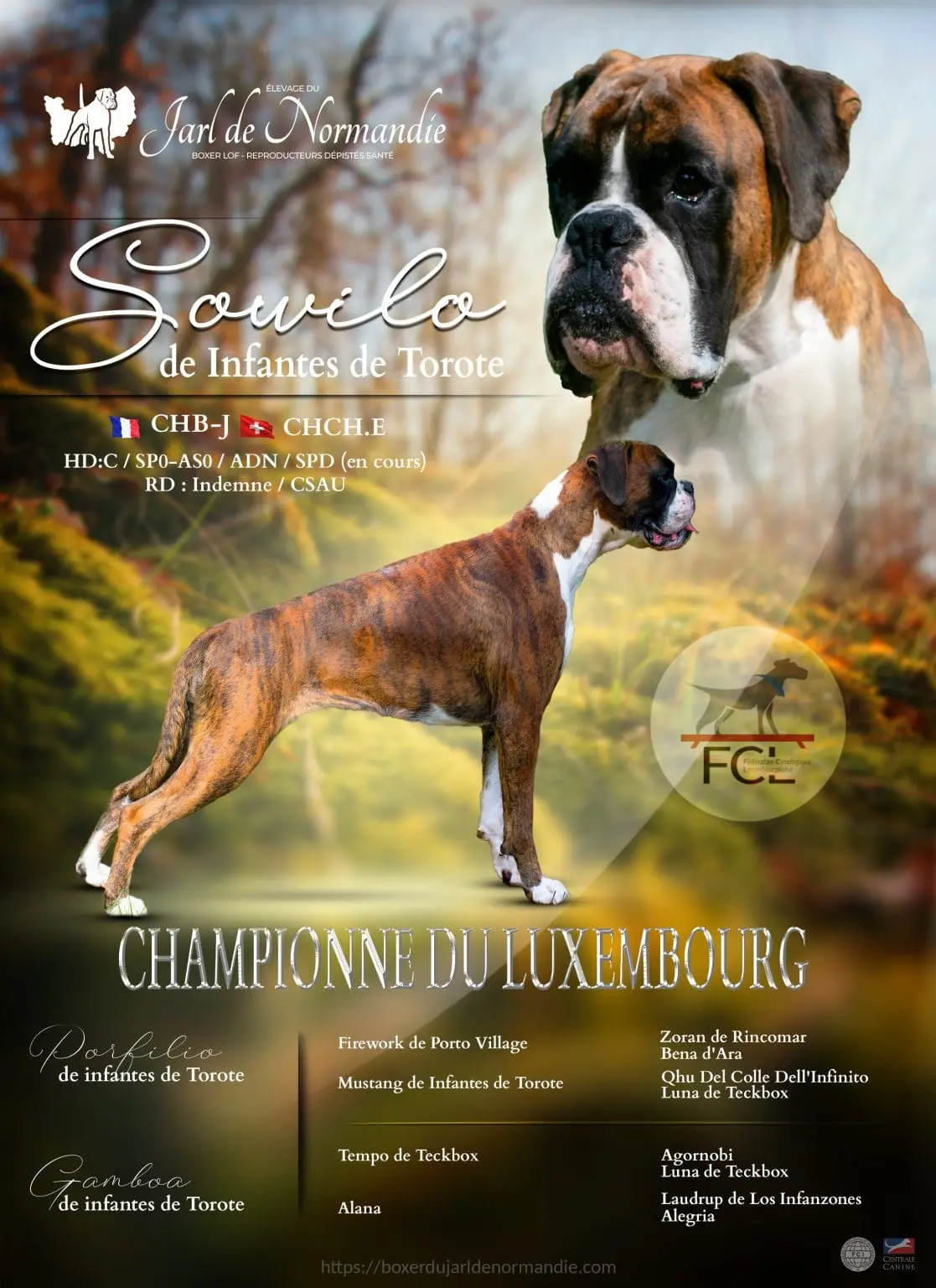 montage ch luxembourg