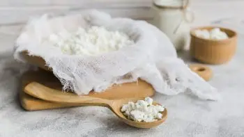 Le kéfir de lait pour nos animaux