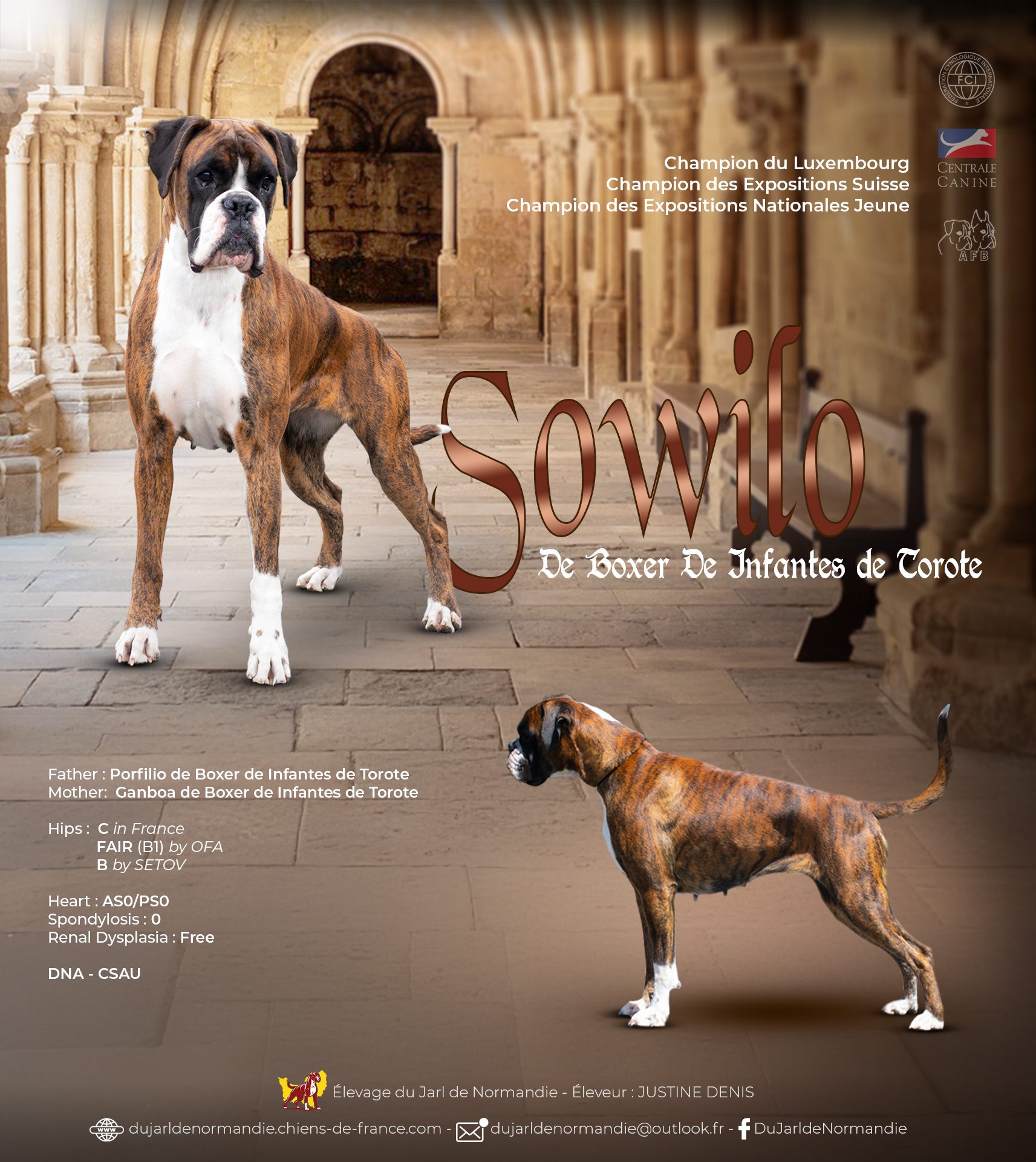 montage sept sowilo