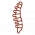 colonne-vertebrale