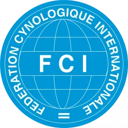 fci2024
