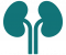 kidneys1