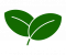 leaf1