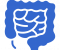 small-intestine1